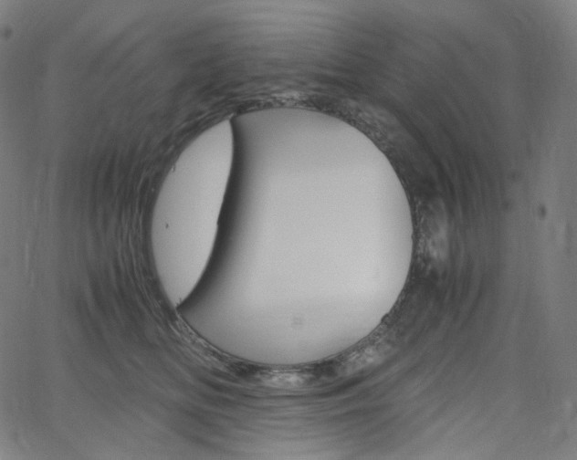X0000063460518200601200933