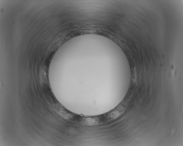 X0000063460522200601200933