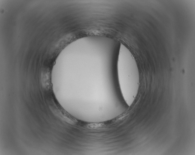 X0000063460526200601200933
