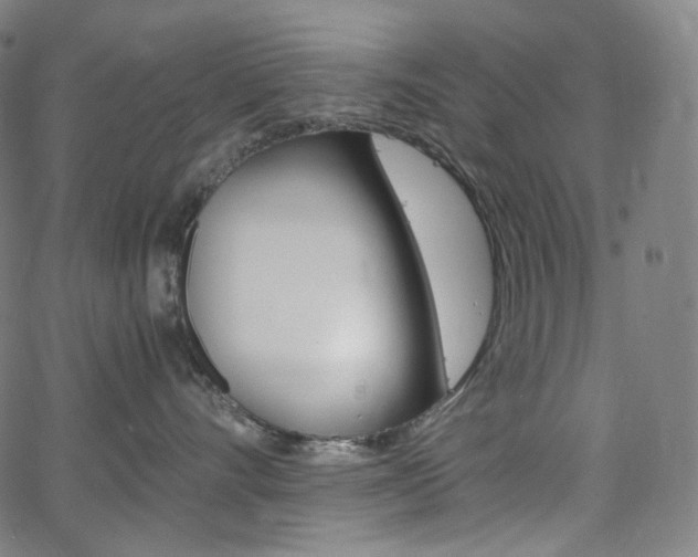 X0000063460528200601200933