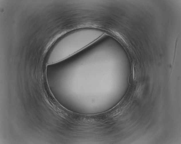 X0000063460531200601200932