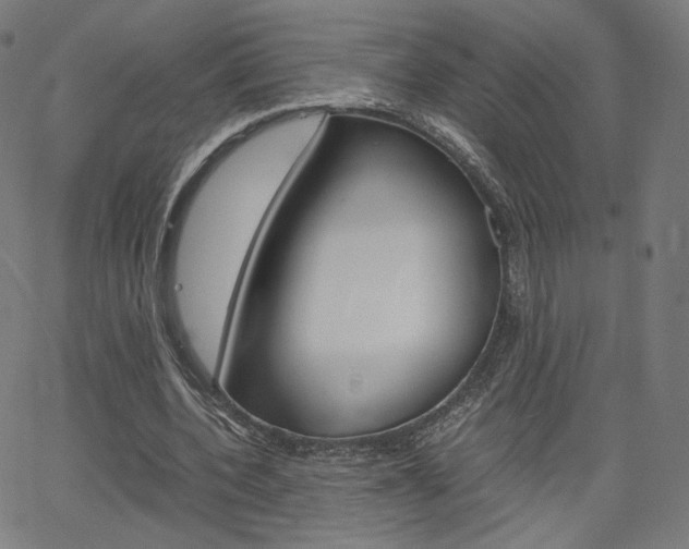X0000063460532200601200932