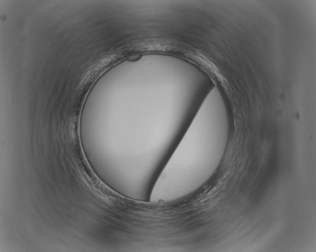 X0000063460537200601200932