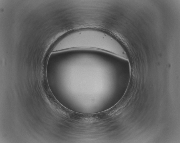 X0000063460540200601200932