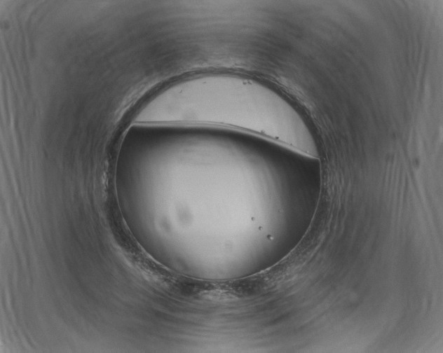 X0000063460544200601200933