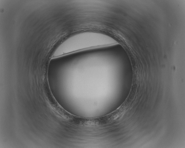 X0000063460546200601200933