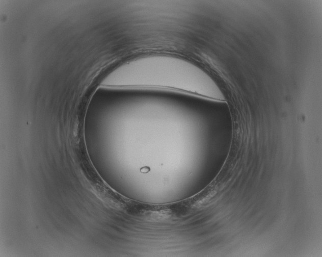 X0000063460548200601200933