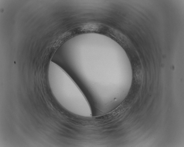 X0000063460551200601200933