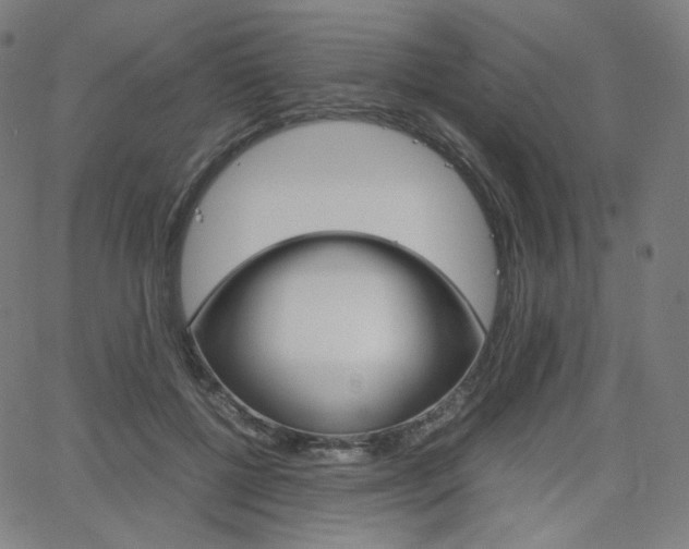 X0000063460552200601200933