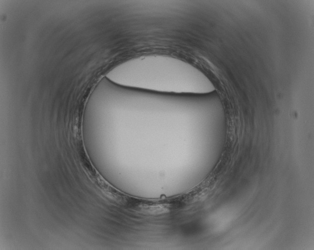 X0000063460553200601200933