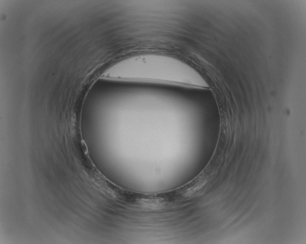X0000063460556200601200933