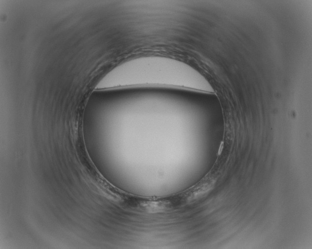 X0000063460558200601200933