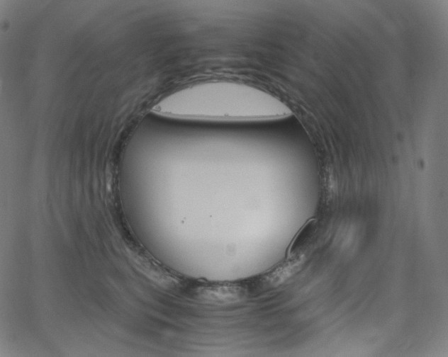 X0000063460567200601200933