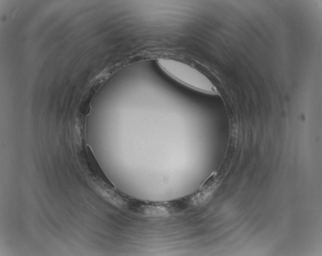 X0000063460572200601200933