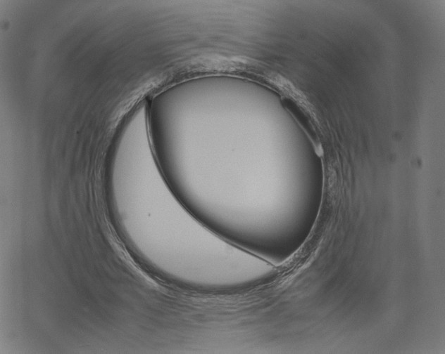 X0000063460581200601200932
