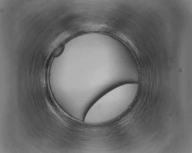 X0000063460582200601200932