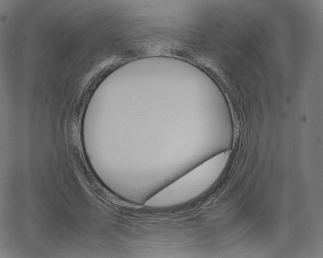 X0000063460587200601200932