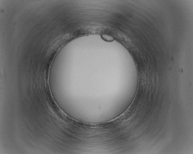 X0000063460594200601200932