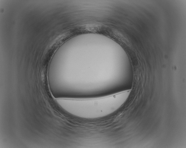 X0000063460595200601200932
