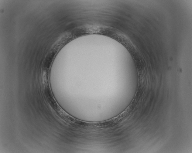 X0000063460598200601200932