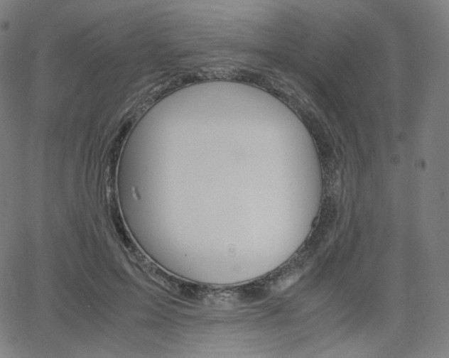 X0000063460599200601200932