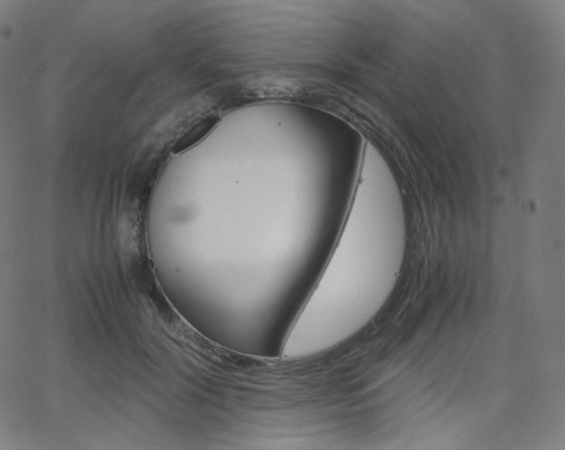 X0000063460604200601200932