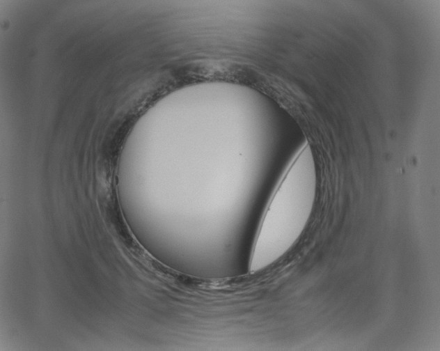 X0000063460607200601200932