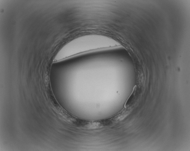 X0000063460609200601200932