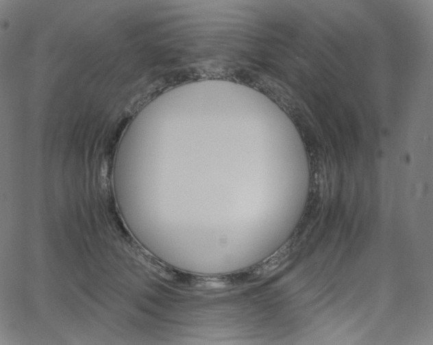 X0000063460610200601200932
