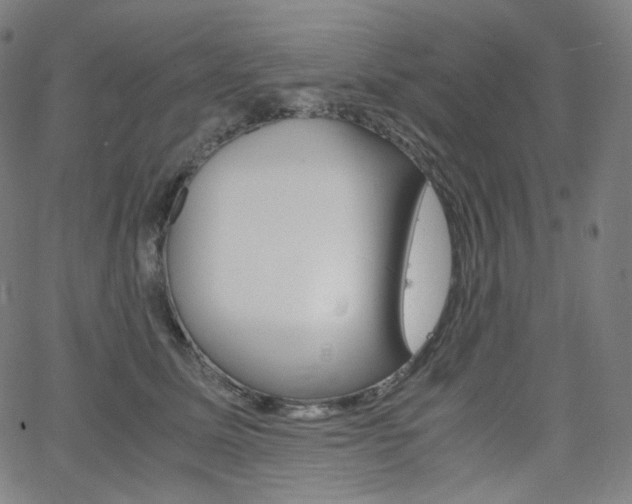 X0000063460611200601200932