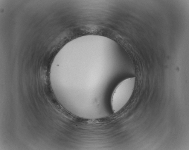 X0000063460612200601200932