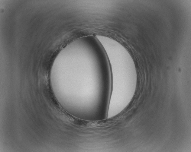X0000063460613200601200932