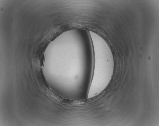 X0000063460617200601200932