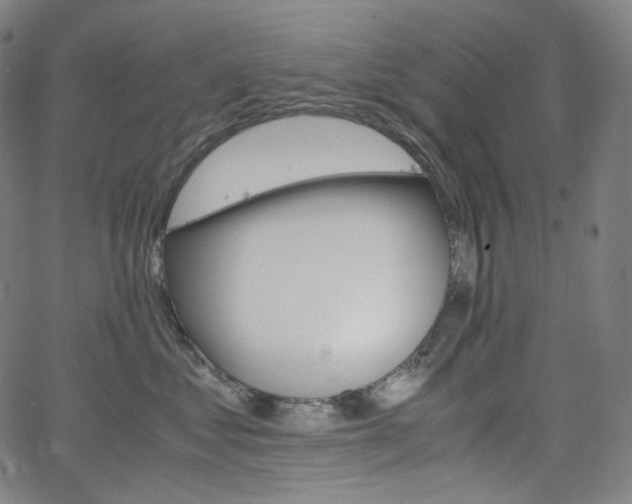 X0000063460621200601200932