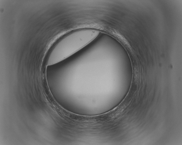 X0000063460628200601200931