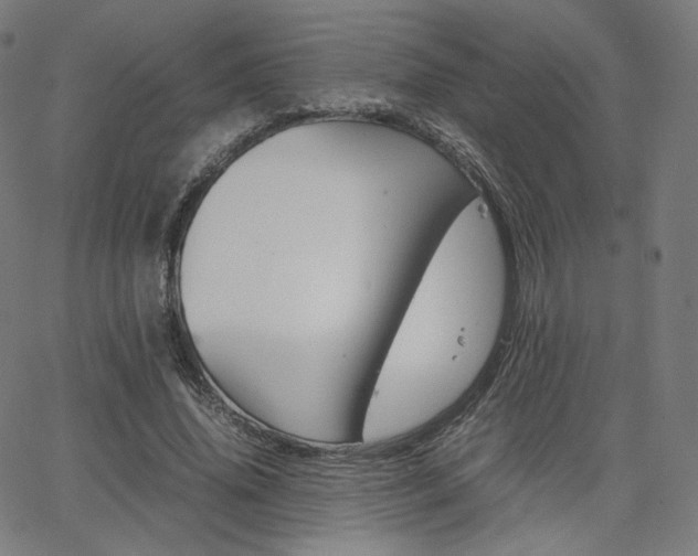 X0000063460636200601200931