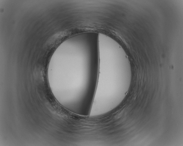 X0000063460643200601200931