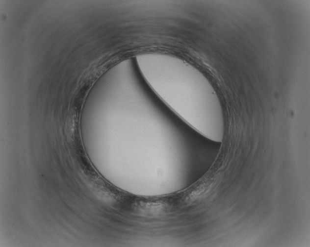 X0000063460645200601200931