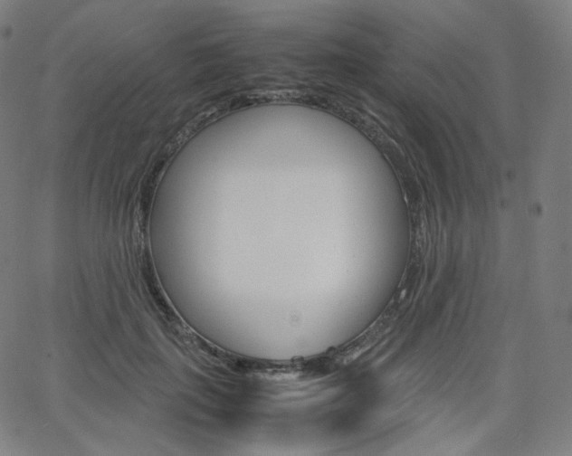 X0000063460651200601200931