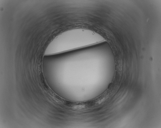 X0000063460653200601200931