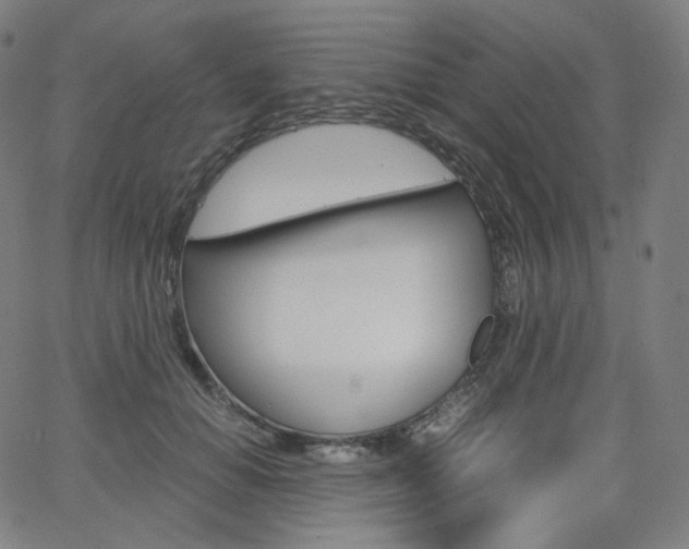 X0000063460654200601200931
