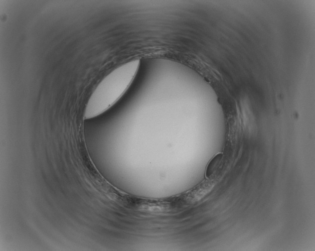 X0000063460655200601200931