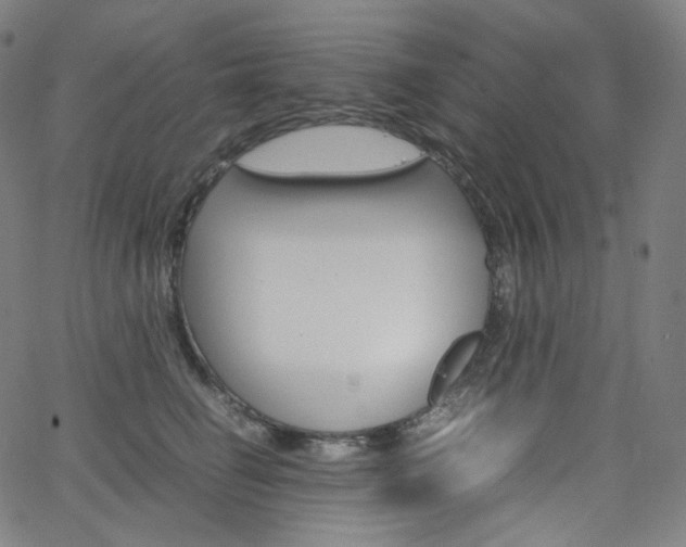 X0000063460662200601200931