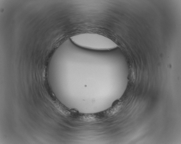 X0000063460668200601200931