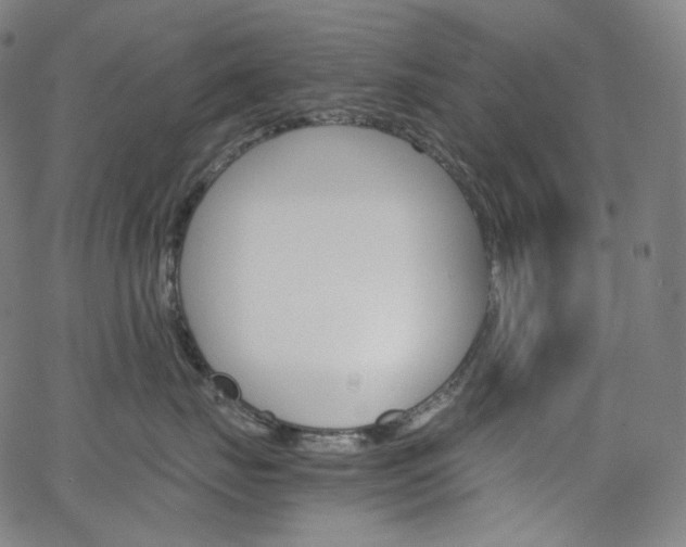 X0000063460671200601200931