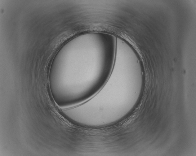 X0000063460673200601200931