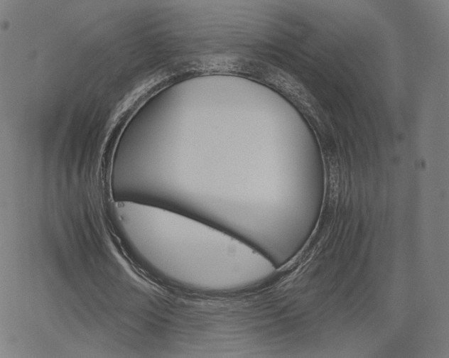 X0000063460674200601200931