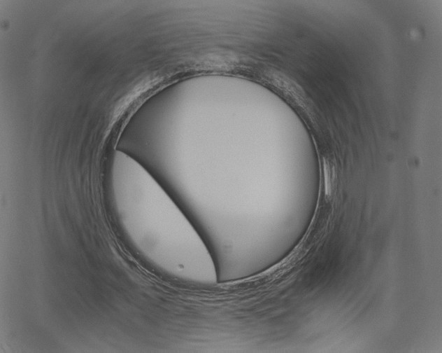 X0000063460675200601200931