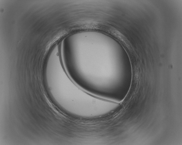 X0000063460677200601200931