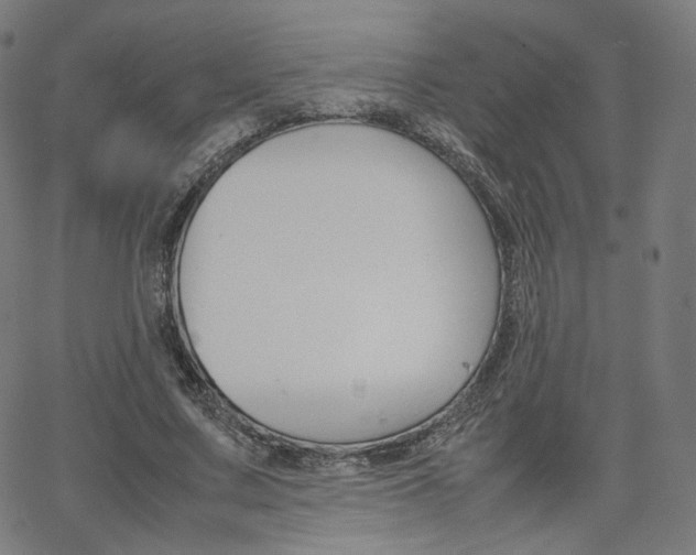 X0000063460683200601200931